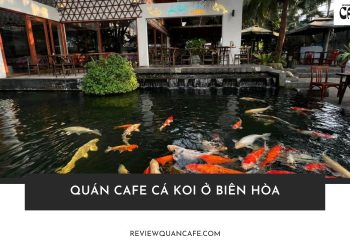 Top 6 quán cafe cá koi ở Biên Hòa đẹp cho team sống ảo