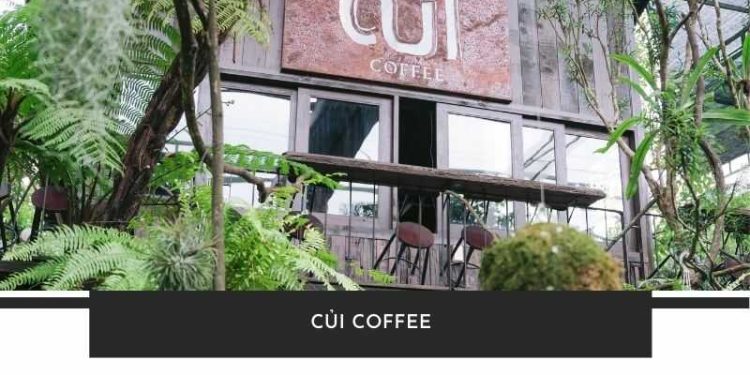 CỦI Coffee - Đắm chìm thiên nhiên cực chill giữa phố Huế CỦI Coffee - Đắm chìm thiên nhiên cực chill giữa phố Huế