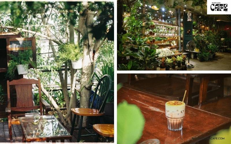 Top 9 quán cà phê sân vườn Bình Thạnh chill nhất hiện nay Cú Trên Cây Coffee