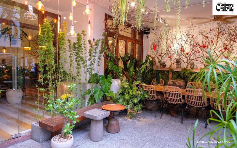 Khám phá quán Cafe Cá Koi ở quận 3 đẹp chill cực đỉnh Lý do quán cafe cá Koi lại được yêu thích ở Sài Gòn