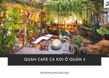 Khám phá quán Cafe Cá Koi ở quận 3 đẹp chill cực đỉnh