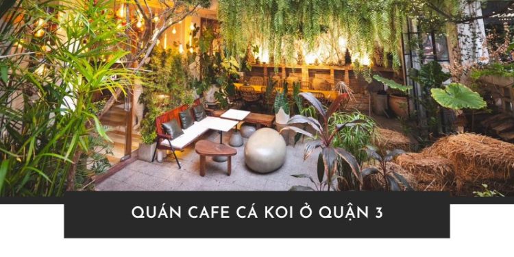 Khám phá quán Cafe Cá Koi ở quận 3 đẹp chill cực đỉnh Khám phá quán Cafe Cá Koi ở quận 3 đẹp chill cực đỉnh