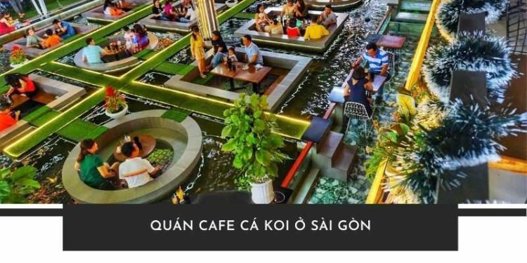 TOP 5+ quán cafe cá koi ở Sài Gòn có view đẹp mê ly, cực chill
