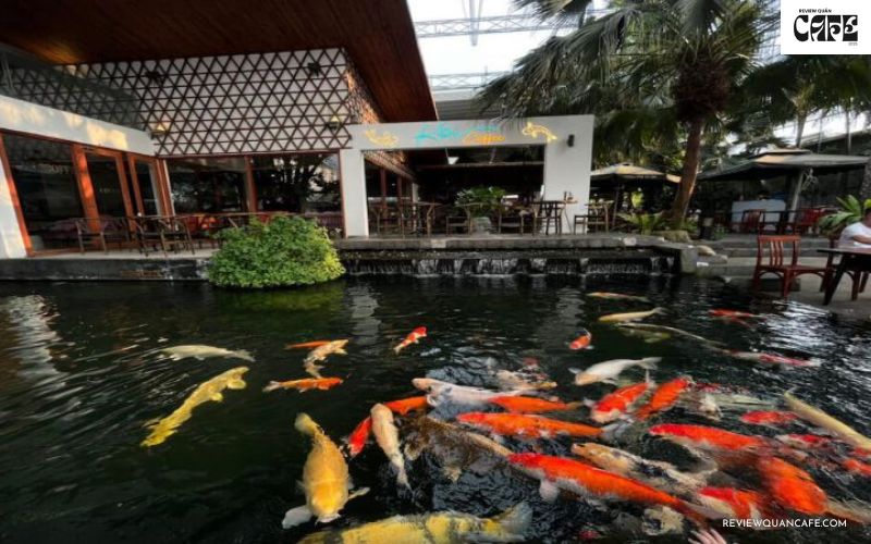 Top 3 quán cafe cá Koi Quận 7 đẹp, cực chill được yêu thích nhất Cafe Thủy Mộc – Quán cafe cá Koi Quận 7 đậm chất thiên nhiên