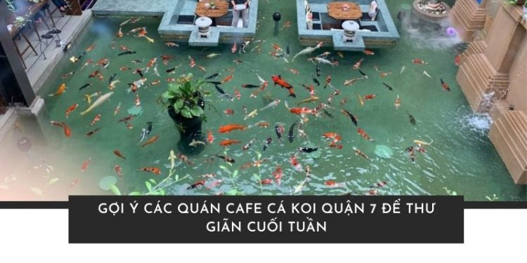 Quán cafe cá Koi Quận 7