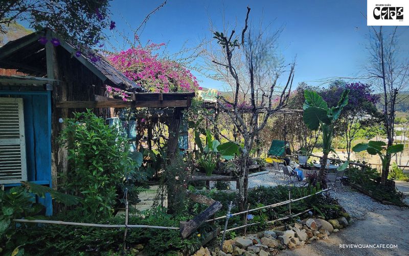 TOP 18 quán cafe đẹp ở Đà Lạt được giới trẻ check-in nhiều nhất Cafe Trong Rừng Mimosa