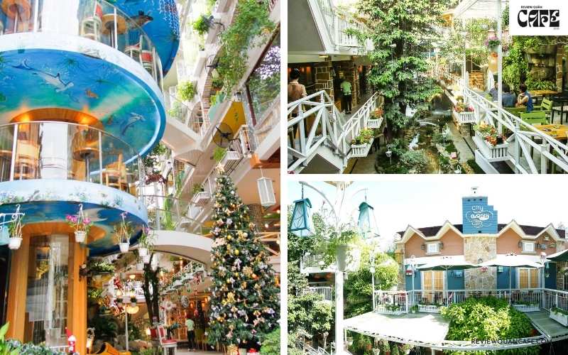 Top 25 quán cafe Tân Bình không gian đẹp, đồ uống ngon Quán cà phê Tân Bình City Garden Café – nơi thiên nhiên và nghệ thuật hòa quyện