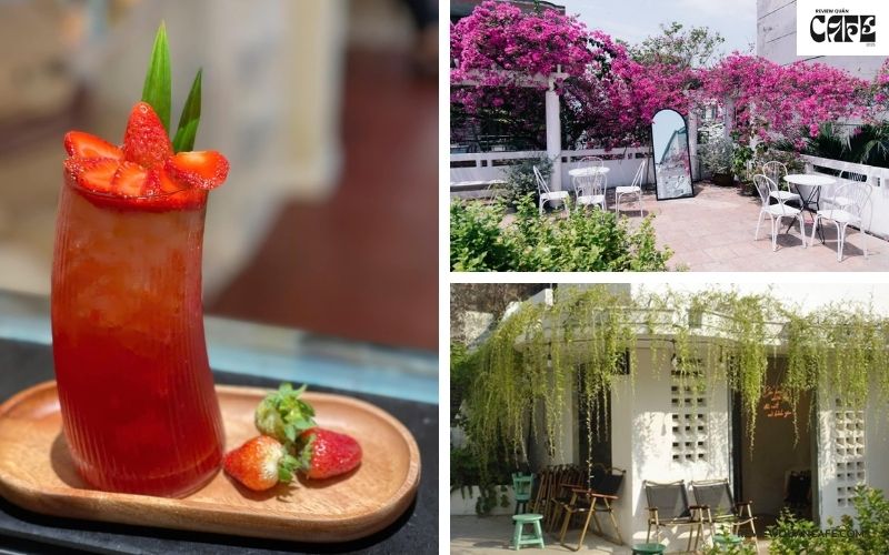 Missing Garden Cafe - Khu vườn bị lãng quên giữa Sài Gòn Giới thiệu Missing Garden Cafe