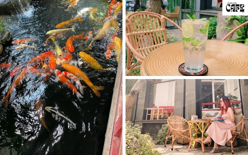 Điểm danh 8 quán cafe cá Koi Thủ Đức đẹp, thư giãn và cực chill Cát Vy Coffee Koi