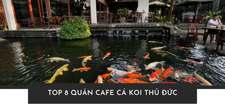 Điểm danh 8 quán cafe cá Koi Thủ Đức đẹp, thư giãn và cực chill