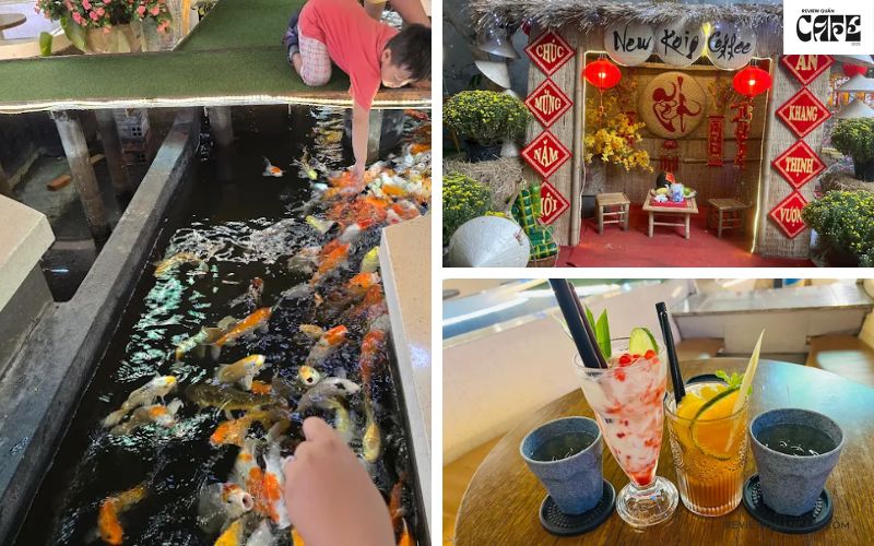 Điểm danh 8 quán cafe cá Koi Thủ Đức đẹp, thư giãn và cực chill New Koi Coffee