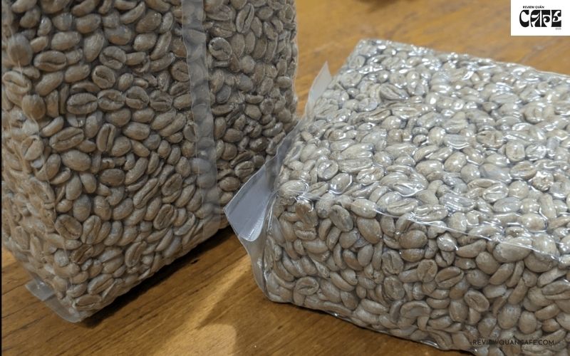 Hạt cà phê ngon nhất thế giới đến từ đâu? Khám phá 8 “siêu phẩm” Hạt cà phê Geisha – Một trong các loại hạt cà phê ngon nhất thế giới