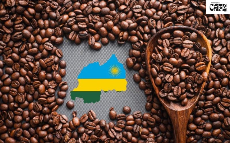 Hạt cà phê ngon nhất thế giới đến từ đâu? Khám phá 8 “siêu phẩm” Cà phê Yirgacheffe – Tinh hoa từ cao nguyên Ethiopia