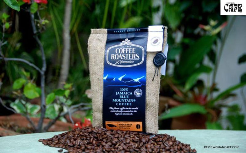 Hạt cà phê ngon nhất thế giới đến từ đâu? Khám phá 8 “siêu phẩm” Cà phê Jamaica Blue Mountain – Hương vị quý tộc đến từ vùng núi xanh