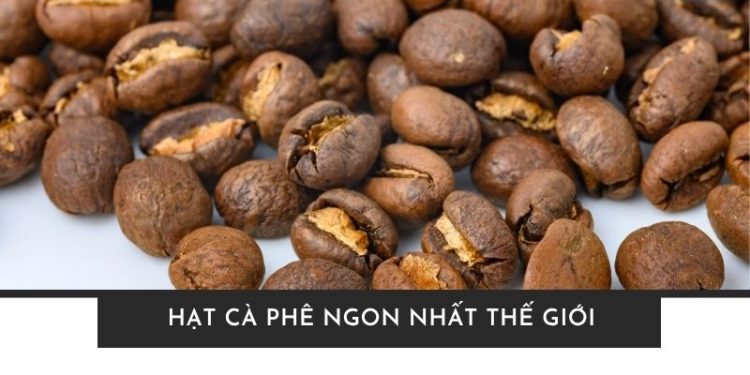 Hạt cà phê ngon nhất thế giới đến từ đâu? Khám phá 8 “siêu phẩm” Hạt cà phê ngon nhất thế giới đến từ đâu? Khám phá 8 “siêu phẩm”