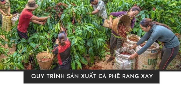 Bí mật đằng sau quy trình sản xuất cà phê rang xay công phu, tỉ mỉ Bí mật đằng sau quy trình sản xuất cà phê rang xay công phu, tỉ mỉ