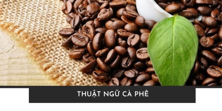 Top 50+ thuật ngữ cà phê dành cho tín đồ mới “nhập môn”